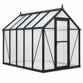 Gewächshaus 190 x 190 x 195 cm Aluminium und Polycarbonat Schwarz mit Schrägdach